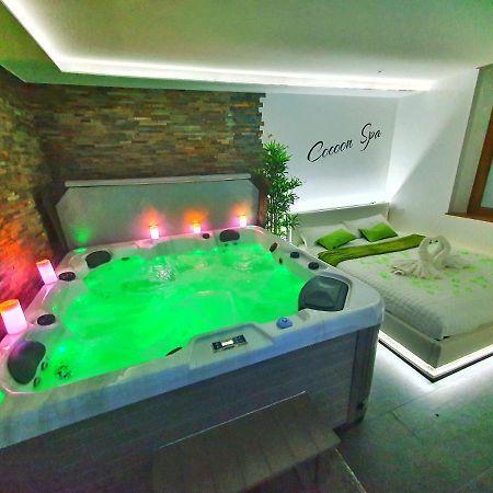 -Gite Cocoon Spa-Jacuzzi-Jardin-Parking Prive-Climatisation Holtzwihr Exterior photo